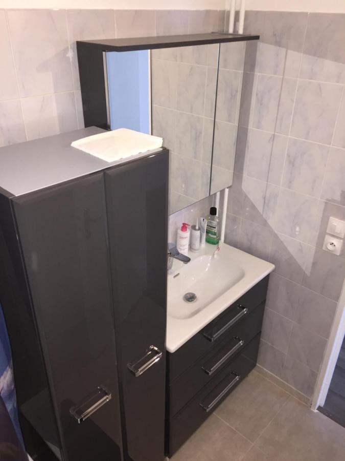 Grand Appartement A Louer Vue Sur Seine Melun Ngoại thất bức ảnh